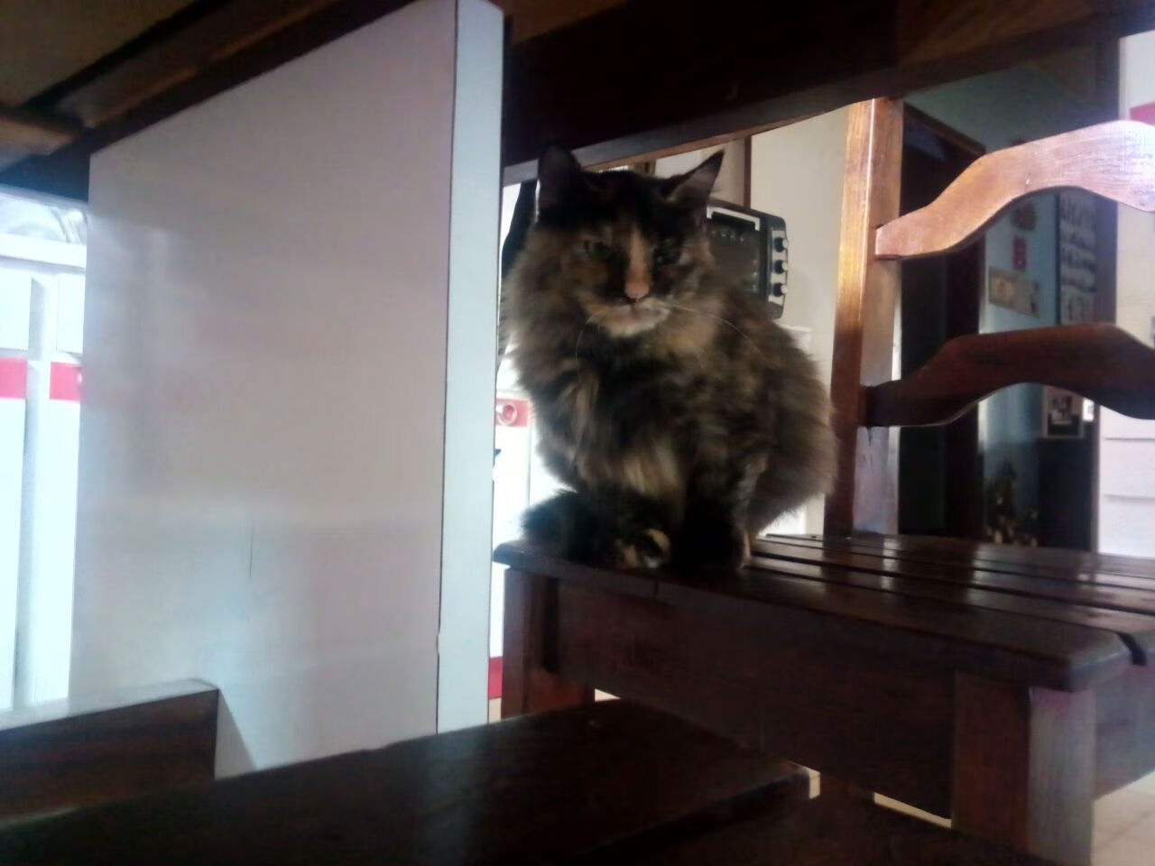 米切尔关键攻防定乾坤，上海队稳扎稳打力克新疆