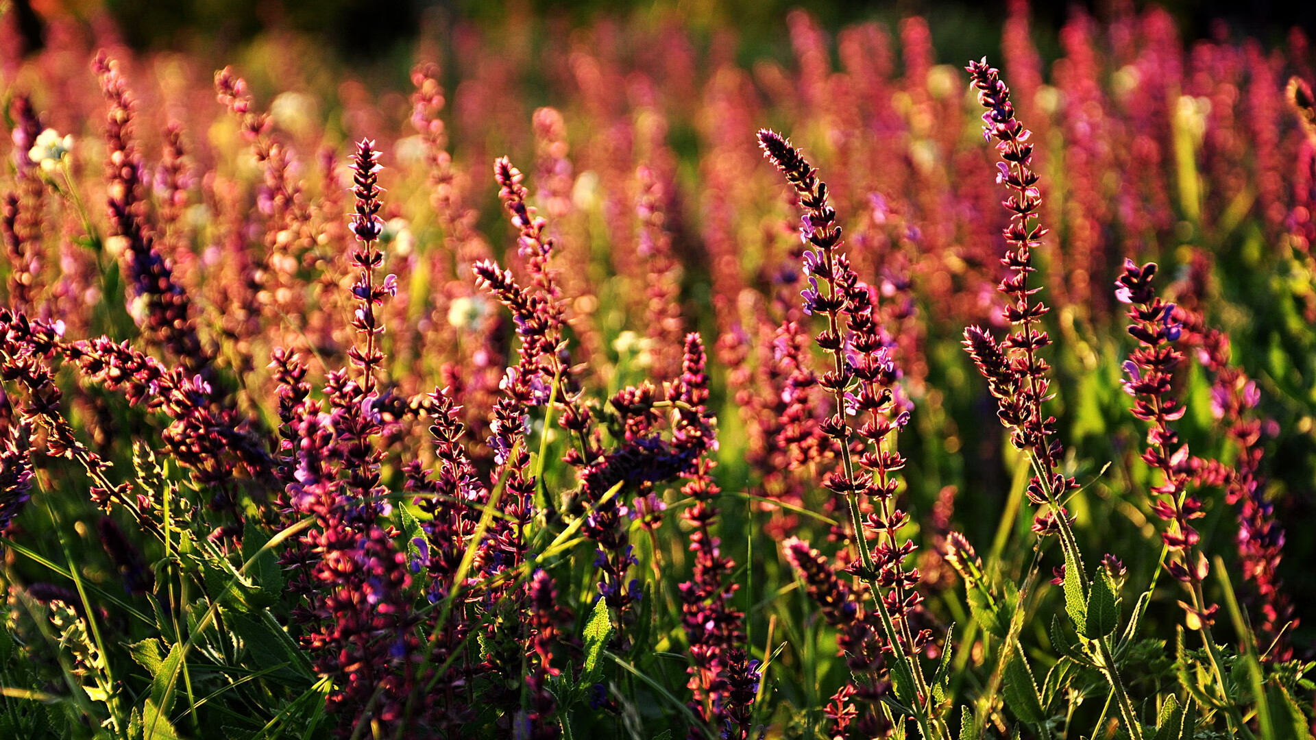 两种接管，一种风骨