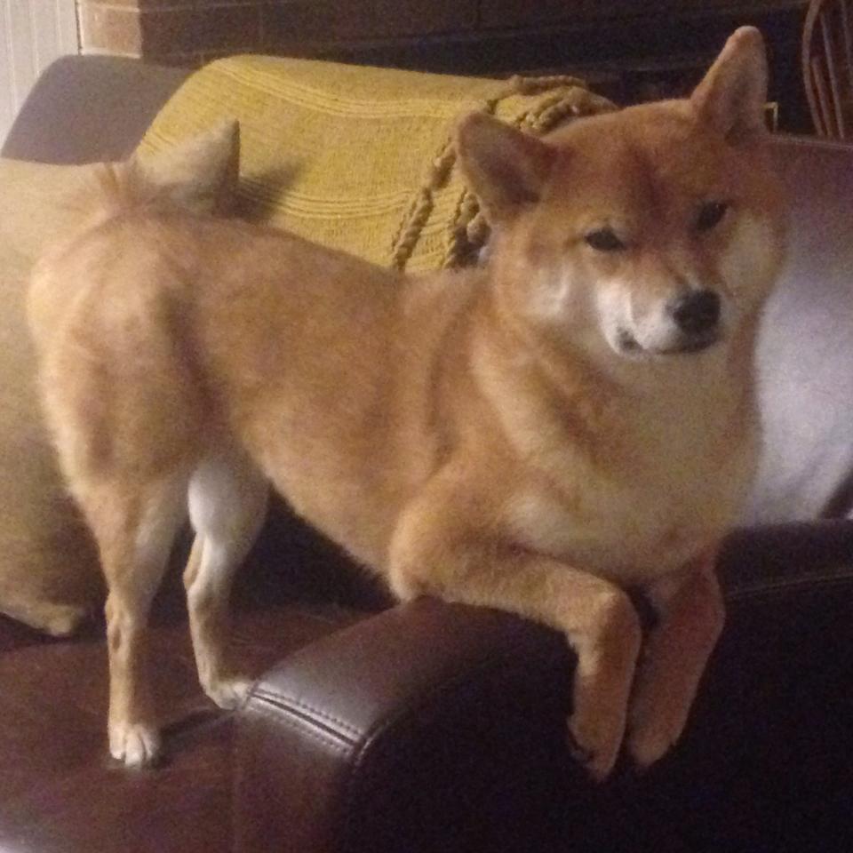 绿茵交响诗，当阿克在争冠之夜指挥全队节奏