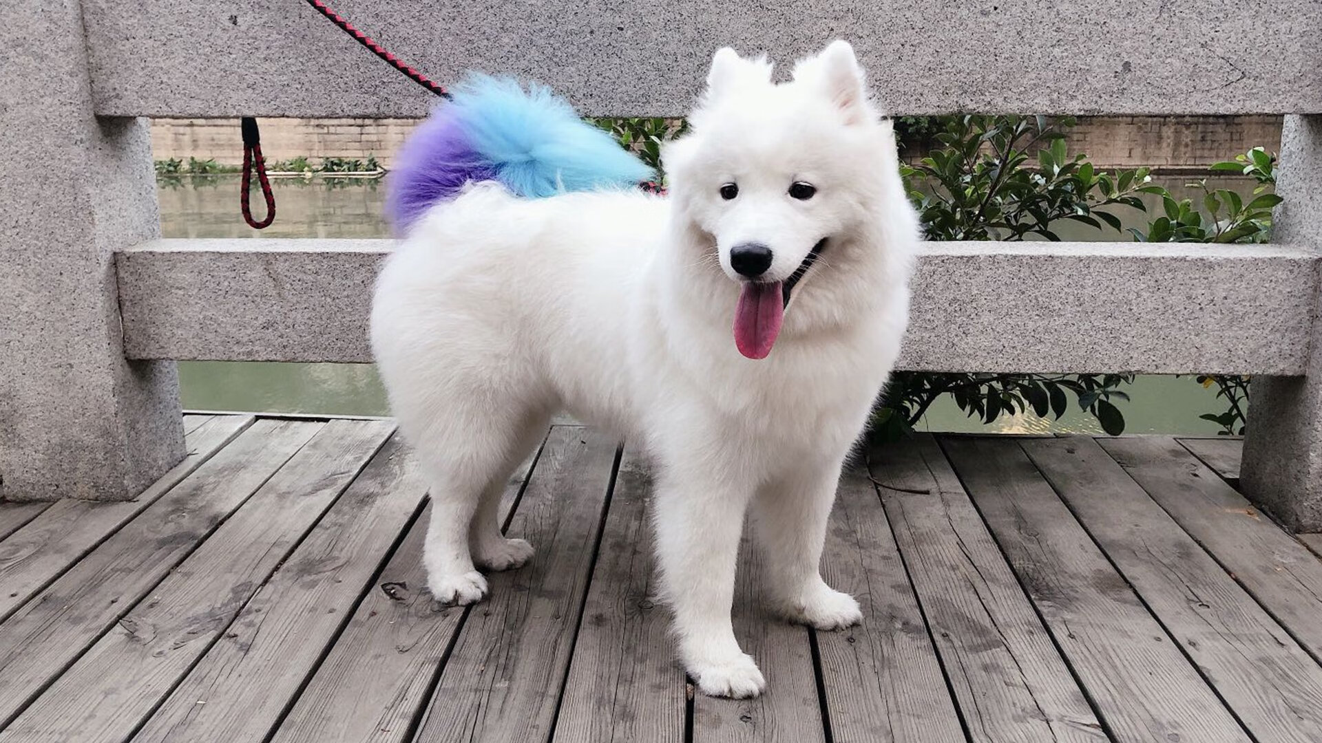 时空错位的绝杀,阿圭罗在篮球季后赛抢七之夜