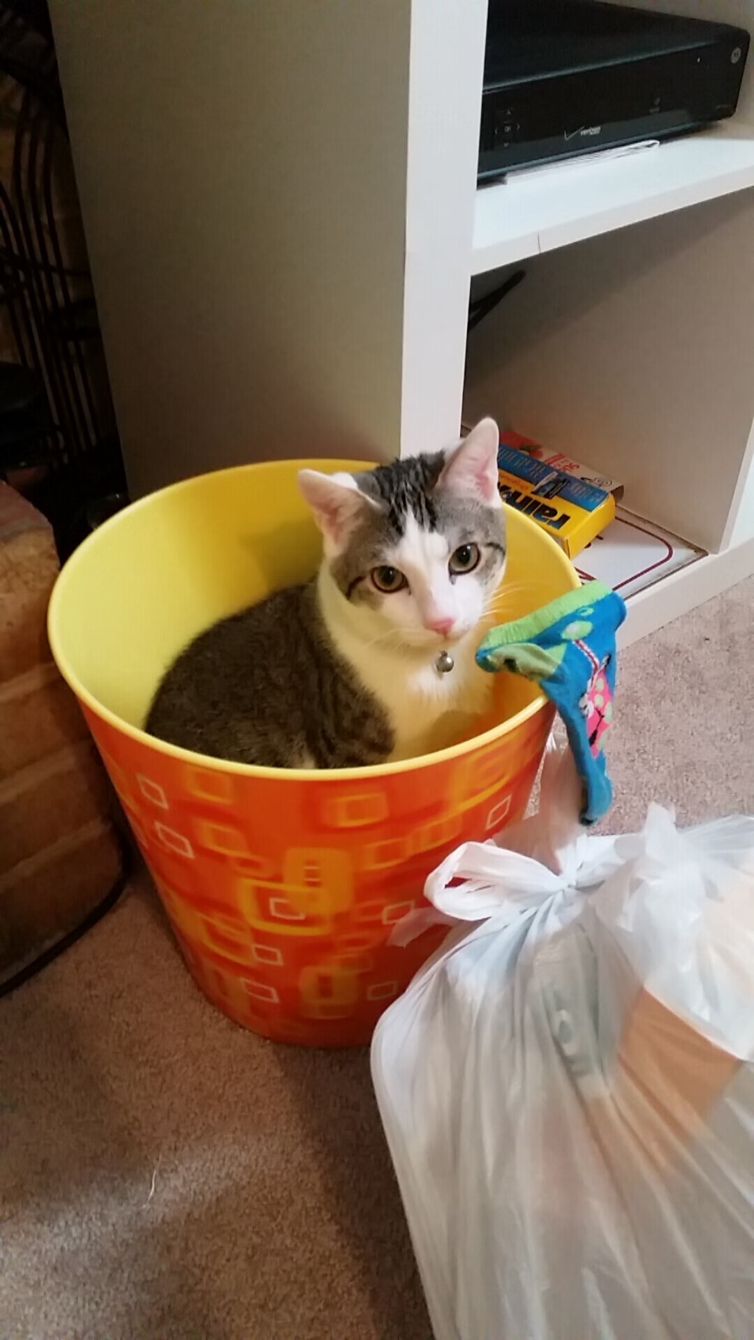 极速冲刺与漫长拉力，当勇士的绝命三分遇见拜仁的药厂枷锁