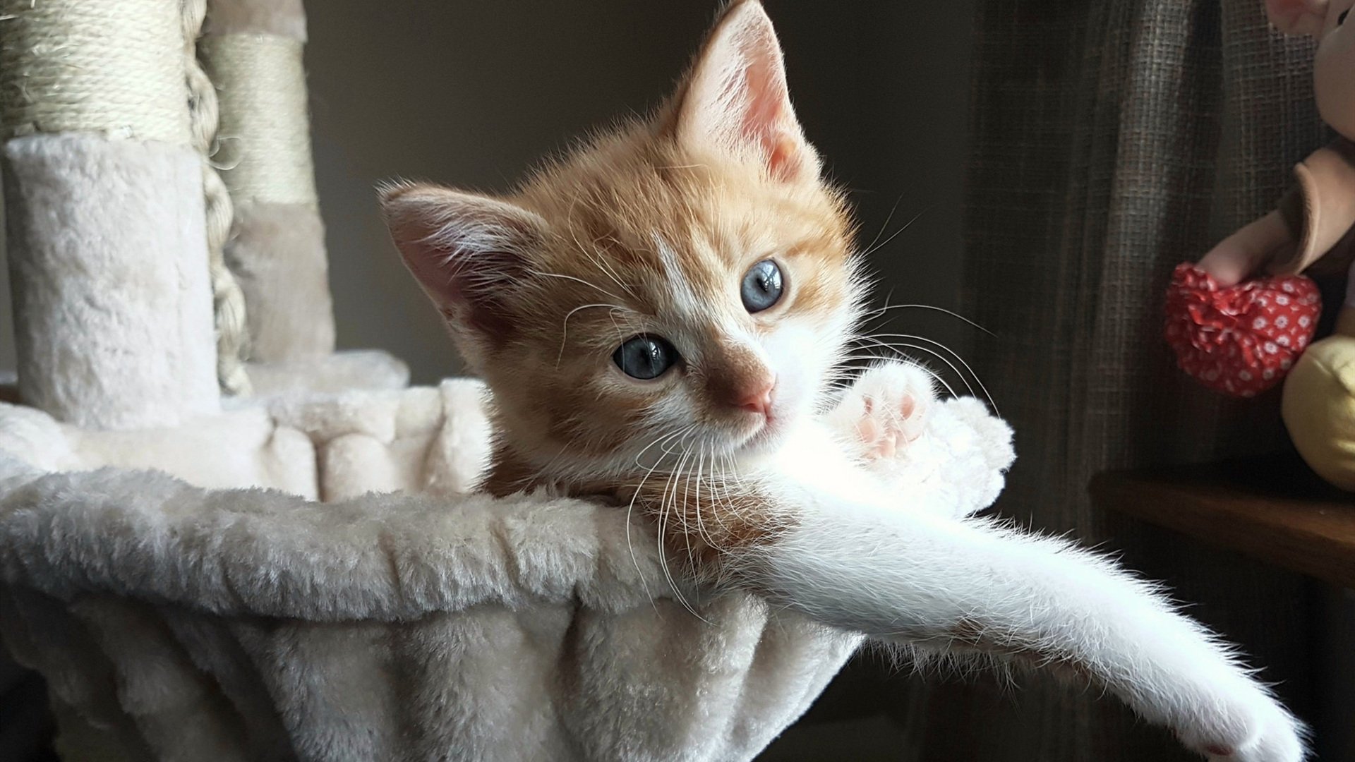 2026世界杯焦点战,挪威阿森纳框架战术压制,演算足球的胜利