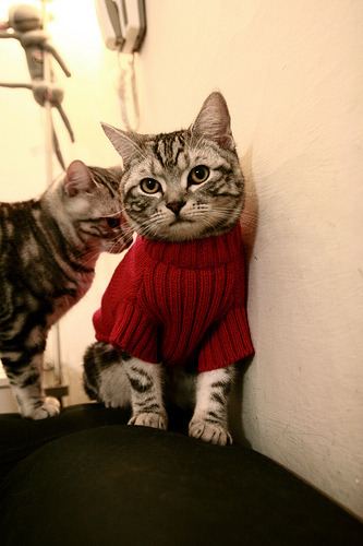 攻防魔术师，马克西何以在唯一性之战中重新定义统治？