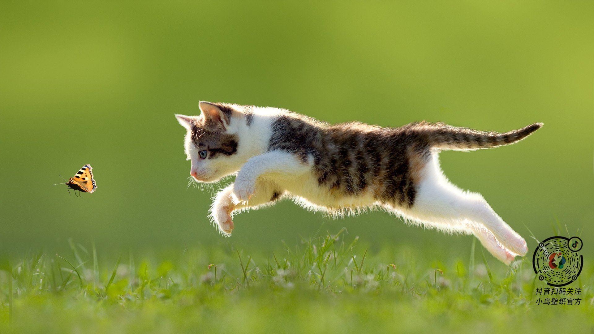 跨越领域的节奏艺术，从塞维利亚的足球智慧到萨内的赛道掌控
