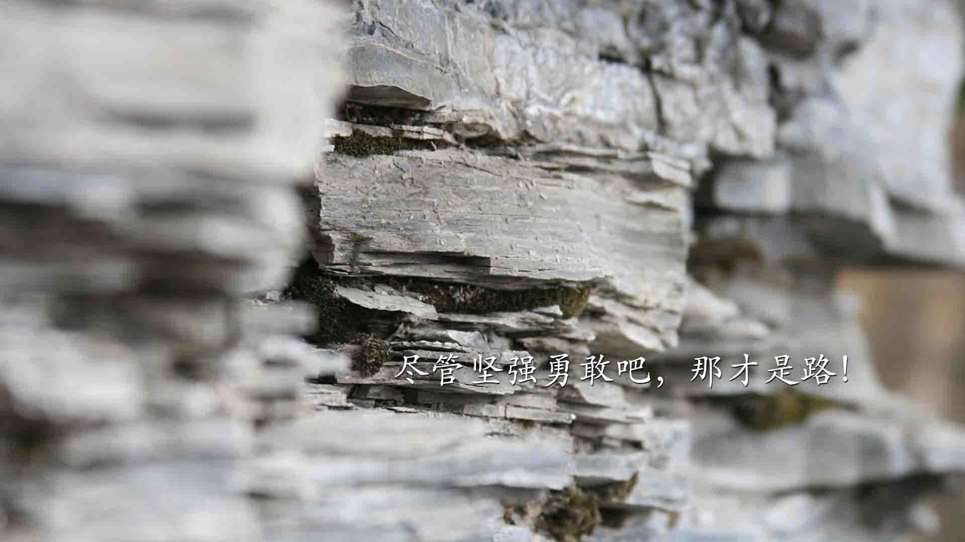 意甲烽烟与乌拉圭风暴,一场横跨欧陆与南美的足球交响