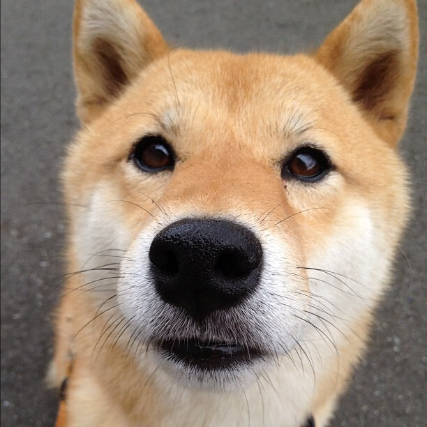 唯一性的双重奏,利物浦生死战逆转雷恩,奥纳纳F1揭幕战一枝独秀