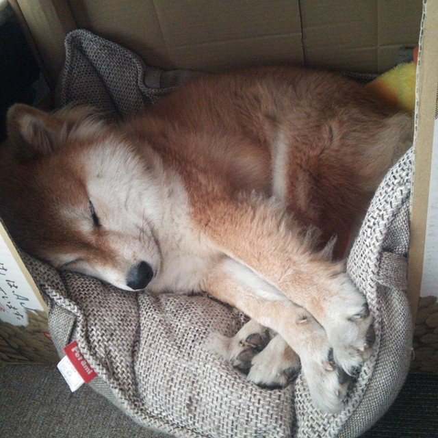 赛场内外的沉稳之道，当南非的防线与克瓦拉的突破讲述同一种胜利