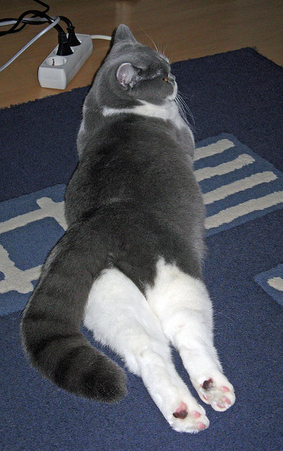 世界排名争夺战之夜,当沙场与球场重合,字母哥用古希腊神话的方式接管比赛