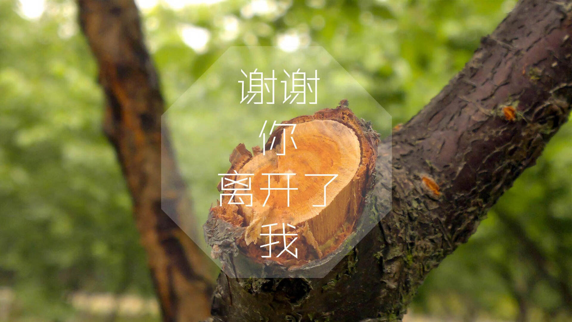 巴格达的沙尘暴，当唯一性成为伊拉克击溃西班牙、奥斯梅恩封神之战的注脚