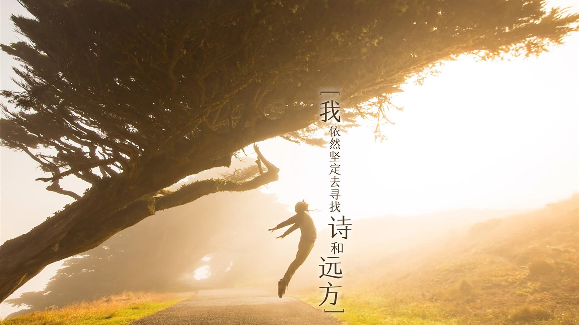 星辰坠落与高卢雄鸣,H组唯一性的宿命对决,维尼修斯舞破铁壁,法兰西以稳固筑就天堑
